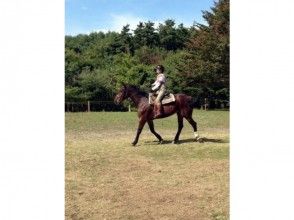 プランの魅力 The instructor will gently teach you the basics of horseback riding の画像