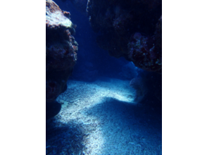 プランの魅力 您为什么不欢迎在西表岛（Iriomote Island）举行令人难忘的潜水，例如生日潜水和周年纪念潜水？ の画像