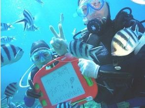 プランの魅力 魚と一緒に講習終了! の画像