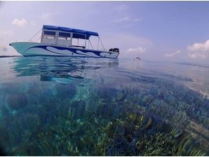 プランの魅力 高度透明的海 の画像