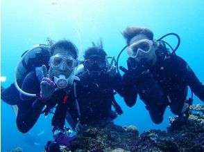 プランの魅力 水下照片礼物 の画像