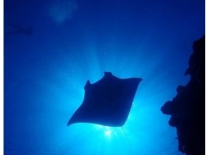 プランの魅力 Manta ต้องการที่จะเห็น! の画像