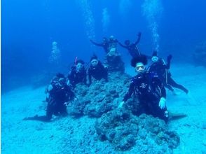 プランの魅力 水下照片禮物 の画像