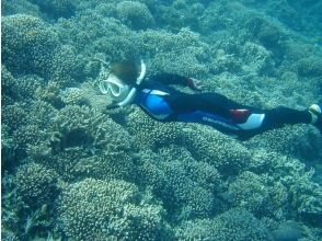 プランの魅力 Various coral reefs are spreading in the sea の画像