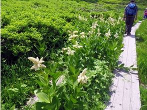 プランの魅力 The area around Tengu's garden is a flower field の画像