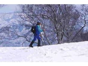 プランの魅力 让我们享受在雪地上滑行的乐趣! の画像