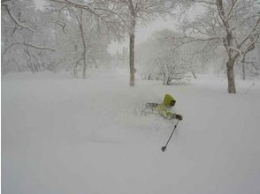 プランの魅力 体验粉雪! の画像