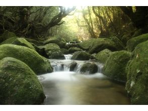 プランの魅力 The clear and beautiful color of water that I have never seen の画像