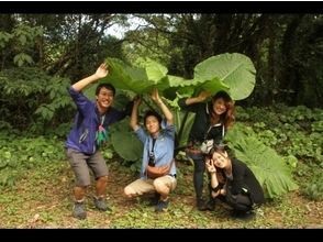 プランの魅力 気の合う仲間と想い出作り の画像