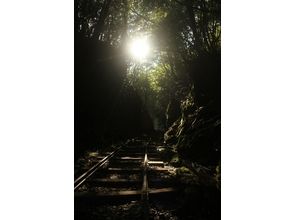 プランの魅力 Taikoiwa that passes through the forest and arrives の画像