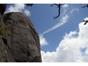 プランの魅力 The blue sky of Yakushima is an unforgettable memory の画像