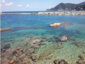 プランの魅力 水很清澈 の画像