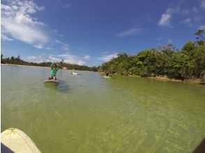 プランの魅力 海をすべるようにお散歩するスポーツ の画像