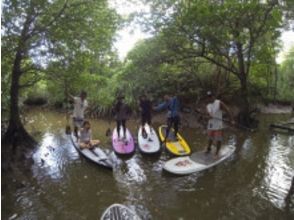 プランの魅力 A place where you can feel the charm of SUP の画像