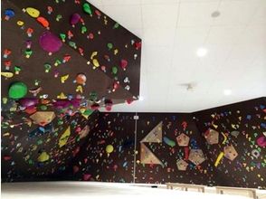 プランの魅力 There are various walls indoors の画像