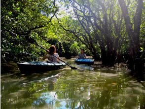 プランの魅力 mangrove の画像