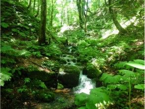 プランの魅力 川のせせらぎもまた心地よし の画像