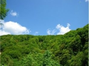 プランの魅力 สีเขียวสดใสแม้ในฤดูร้อน の画像