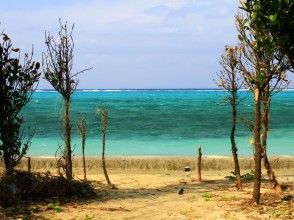 プランの魅力 恩納村深淵海岸 の画像