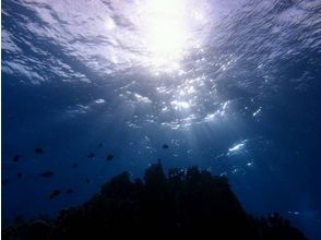 プランの魅力 A mysterious view looking up from the sea の画像