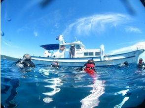 プランの魅力 Drift diving that is safe even for beginners の画像