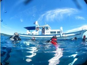 プランの魅力 漂流潛水即使對於初學者也很安全 の画像