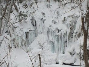 プランの魅力 タイミングが良ければ６ｍ越えの氷柱が・・・！ の画像