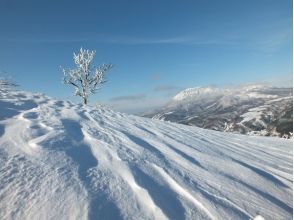 プランの魅力 大山が見えてきました！ の画像