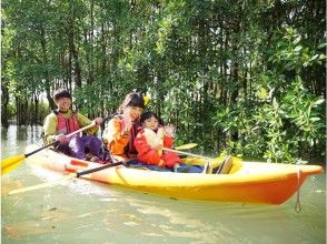 プランの魅力 沖縄ならではの大自然 の画像