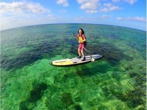 プランの魅力 透き通る海でのSUP体験♪ の画像