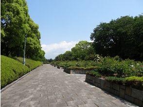 プランの魅力 第一天目標“博美公園” の画像