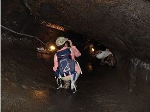 プランの魅力 開始是鳴澤冰洞 の画像