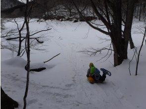 プランの魅力 ทำโต๊ะหิมะสำหรับอาหารกลางวัน の画像