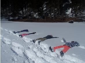 プランの魅力 雪原でお昼寝！？ の画像