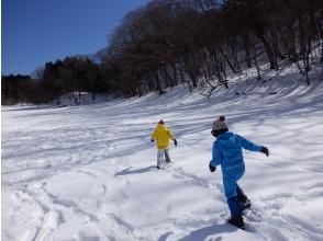 プランの魅力 結氷した沼 の画像