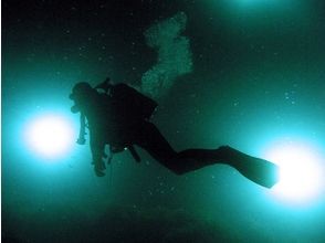 プランの魅力 沈黙と青の神秘的な世界 の画像