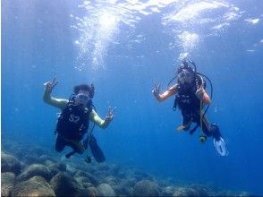 プランの魅力 结束培训后，您将学习在游泳池或浅海（水域有限）中潜水的基本知识。 の画像