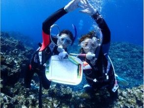 プランの魅力 Underwater skill training の画像