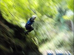 プランの魅力 1, の画像