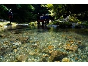 プランの魅力 五， の画像