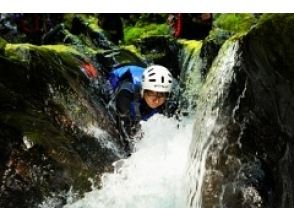 プランの魅力 6， の画像