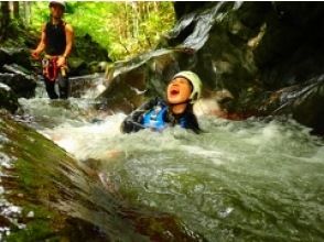 プランの魅力  の画像