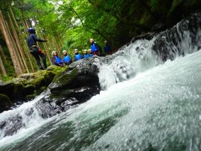 プランの魅力  の画像