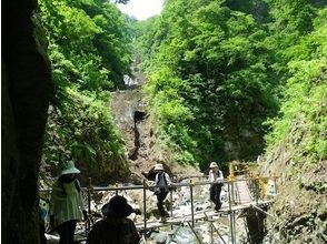 プランの魅力 Slow trekking in the wilderness の画像