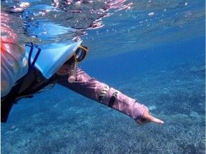 プランの魅力 スノーケルで沖縄の海と太陽の爽快感を味わう の画像