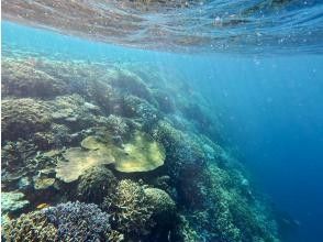 プランの魅力 シュノーケルで八重干瀬の海と太陽の爽快感を味わう の画像