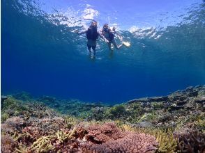 プランの魅力 器材などレンタル料込！一人参加ＯＫ の画像