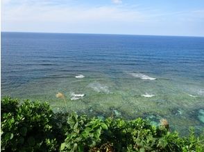 プランの魅力 Sea turtle viewpoint の画像