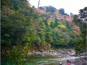 プランの魅力 Cherry-blossom viewing trekking の画像