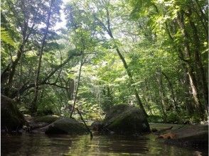 プランの魅力  の画像